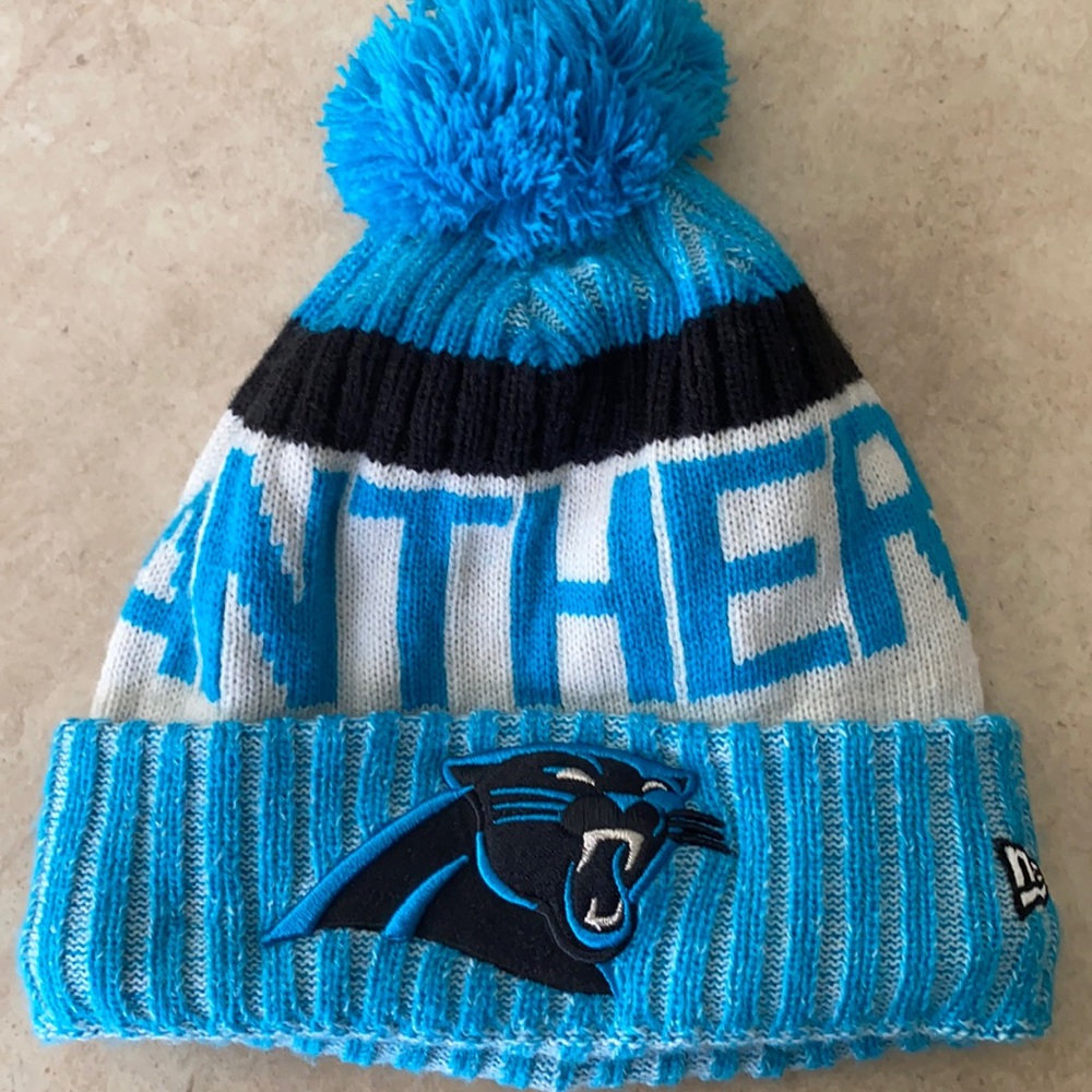 Panthers Beanie